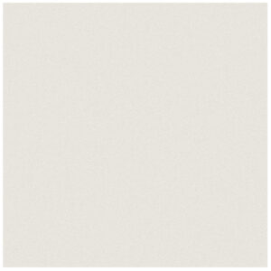 Prima Warm White 12"x12" Polished Tile