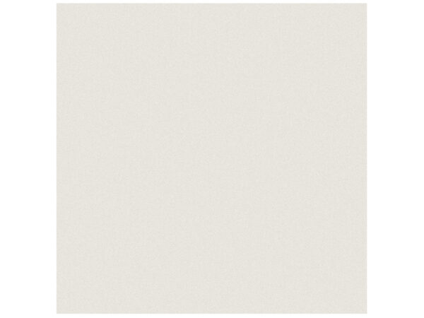 Prima Warm White 12"x12" Polished Tile