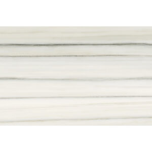 Mayfair Zebrino 12"x24" Matte