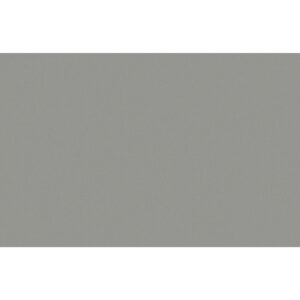 Prima Mica 12"x24" Matte Tile