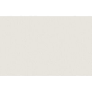 Prima Warm White 12"x24" Polished Tile