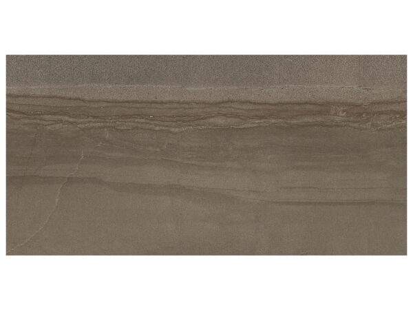 Amelia Earth 12"x24" Matte