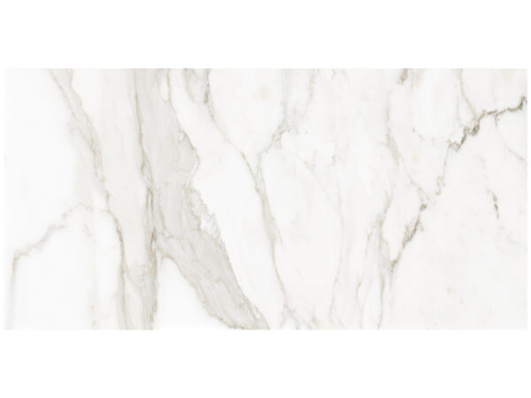 La Marca Calacatta Paonazzo 24"x48" Polished & Matte Tile