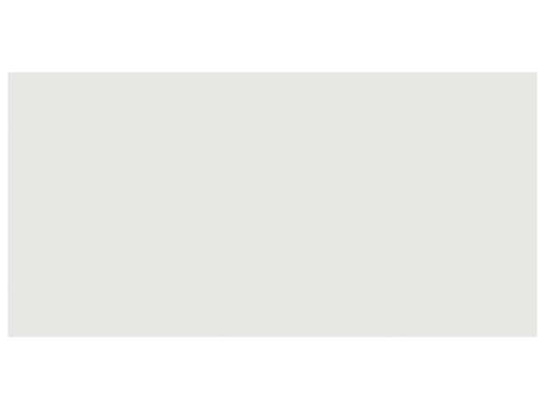 Prima True White 24"x48" Matte Tile